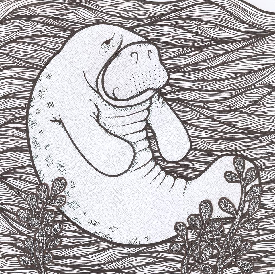 Man vs. Manatee